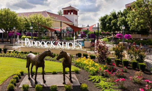 Paddock Shops | Louisville, KY